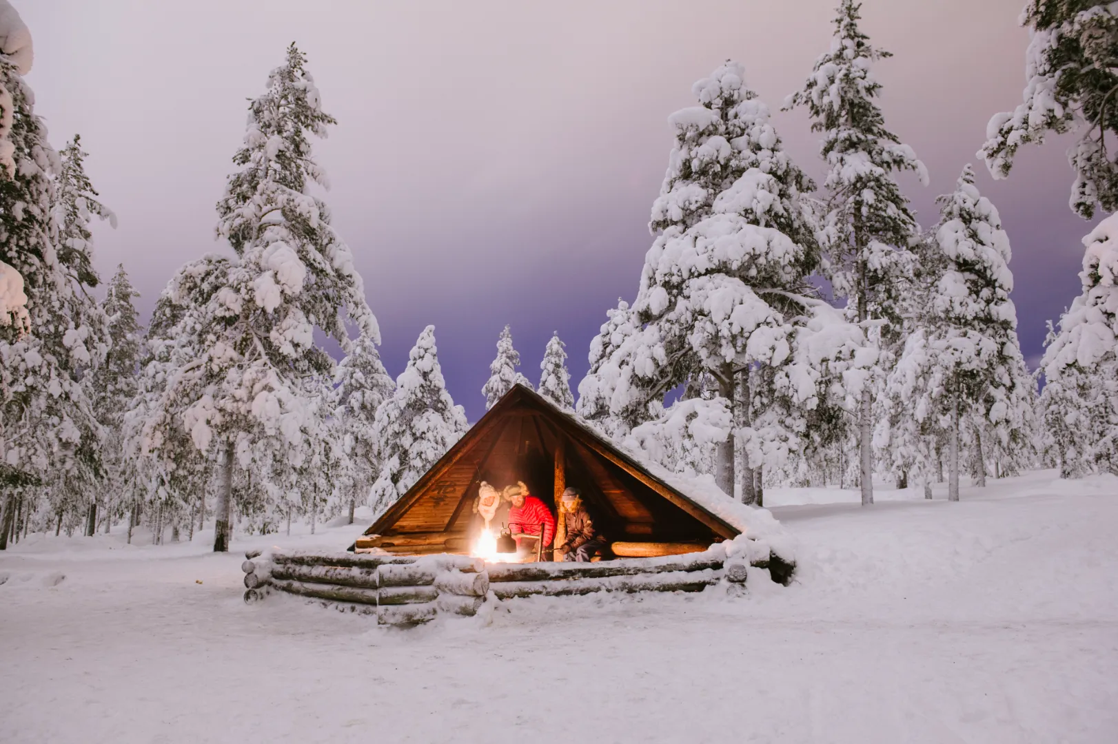 Will Finland send over 50 official Arctic missions abroad in 2026?