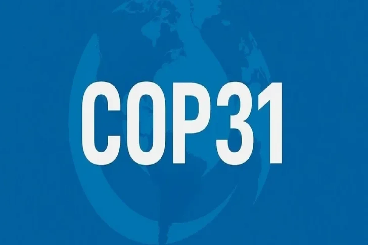 COP31 Fossil Phase-Out
