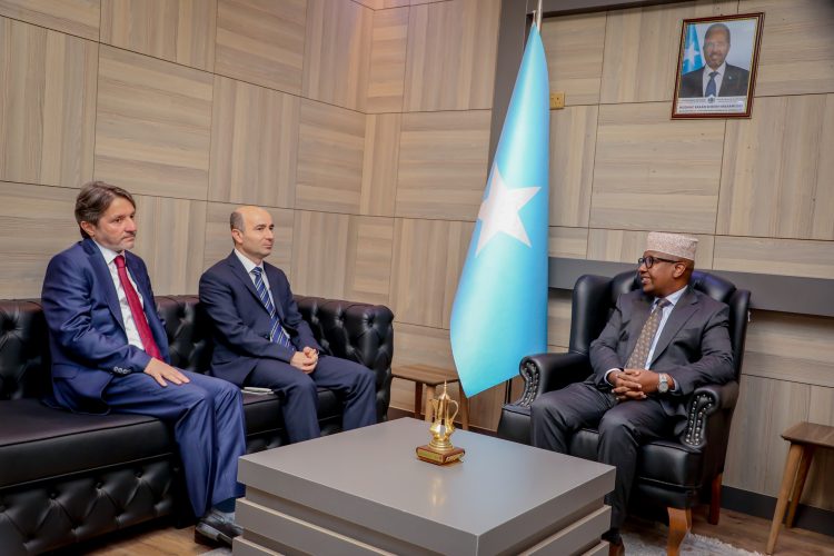 Somali Diplomatic Recall?