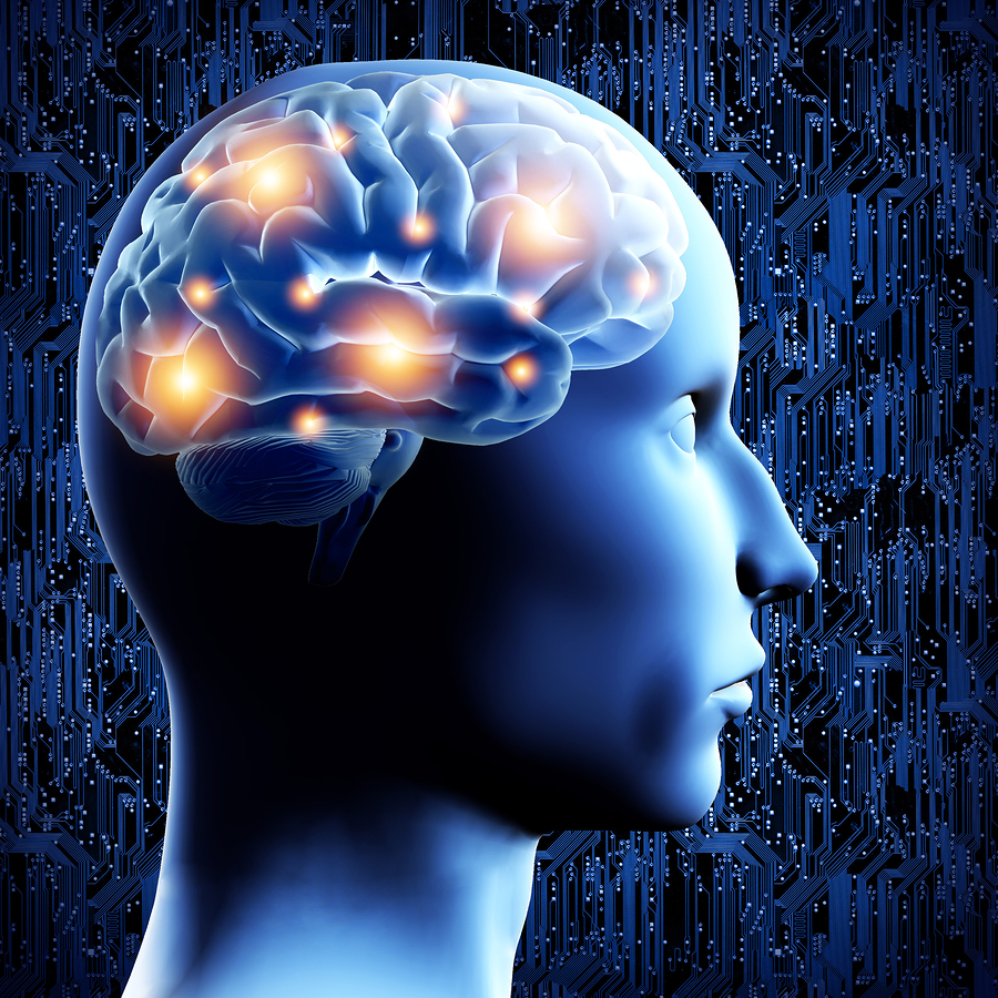 Finland Brainwave Passwords