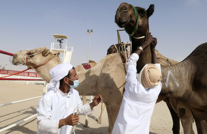 UAE Camel League