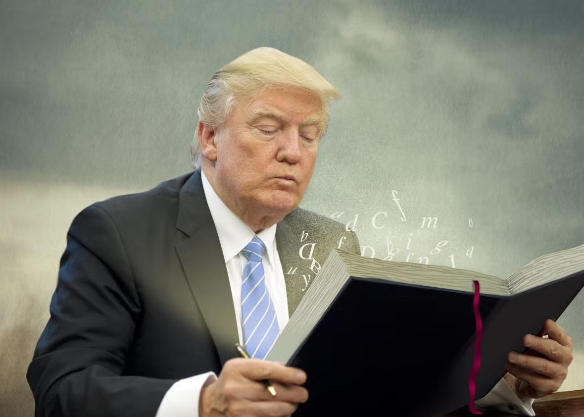 Trump Non-Political Book