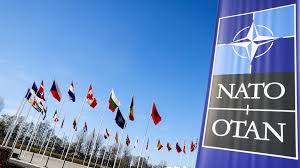 Taiwan in NATO Report