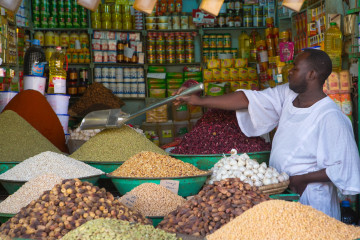 Sudan Price Controls
