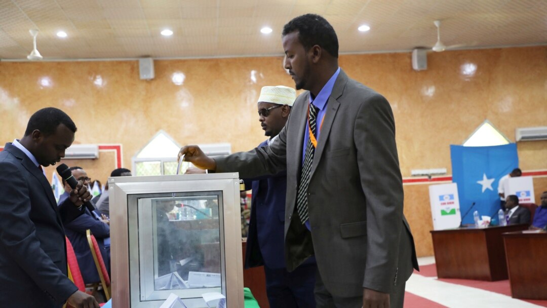 Somali Voter Registration Uptick?
