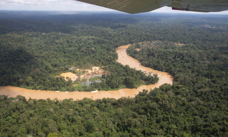 Amazon River Shrink