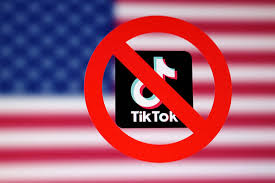 France TikTok Ban 2026?